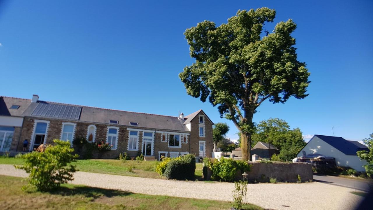 Belle Visnonia B&B Gluten Free & Traditional Béganne Esterno foto